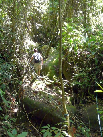 rugged trail through jungle